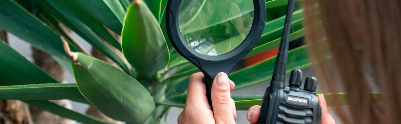 Hoe kom ik van die vervelende beestjes af? Hoe kom ik van die vervelende beestjes af?